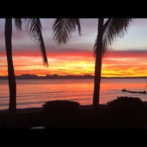 Meet your Posher, Eugene